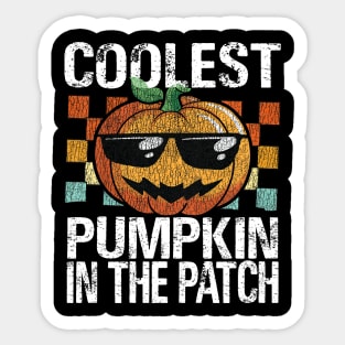 Coolest Pumpkin In The Patch Toddler Sticker